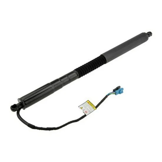 Amortizor Portbagaj DREAPTA SPATE BMW X3 G01 2017-> pentru xDrive 30 e Plug-in-Hybrid, xDrive 30 e Pug-in-Hybrid, perioada 2019,2020,2021,2022,2023,2024 nty