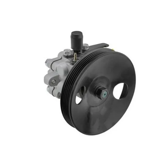 Pompa Servodirectie HYUNDAI SANTA FE 1 2001->2006 pentru 2.0, perioada 2001,2002,2003,2004,2005,2006 nty