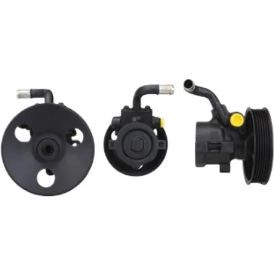 Pompa servo CHEVROLET CAPTIVA C100 2006-> 2.4 4WD 100KW 136CP , pentru motor LD9(147CUL4) perioada 2006 2007 2008 2009 2010 2011