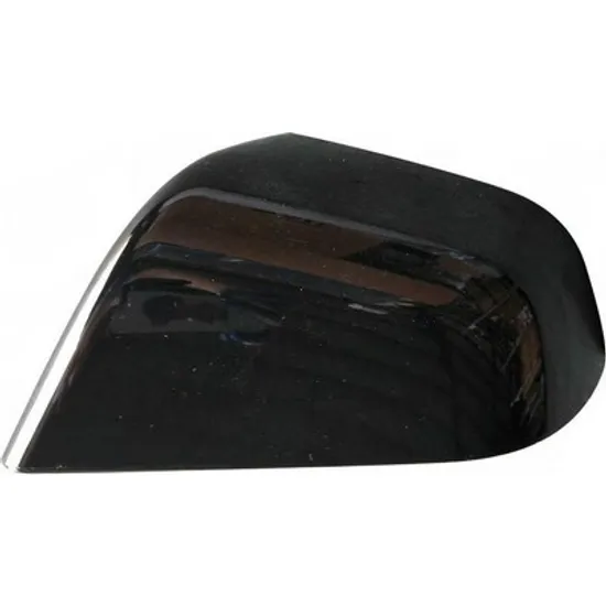 Capac Oglinda TESLA MODEL 3 2017-> Capac Oglinda exterioara negru -2021 STANGA Perioada 2017 2018 2019 2020 2021