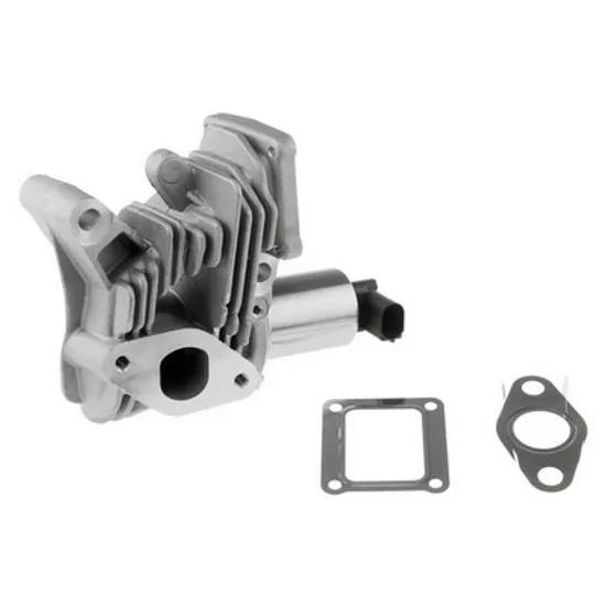 Supapa EGR RENAULT GRAND SCENIC 2 2004->2009, MEGANE 2 2002->2010, LAGUNA 2 2001->2007, SCENIC 2 2003->2009 pentru 1.9 dCi, perioada 2001,2002,2003,2004,2005,2006,2007,2008,2009